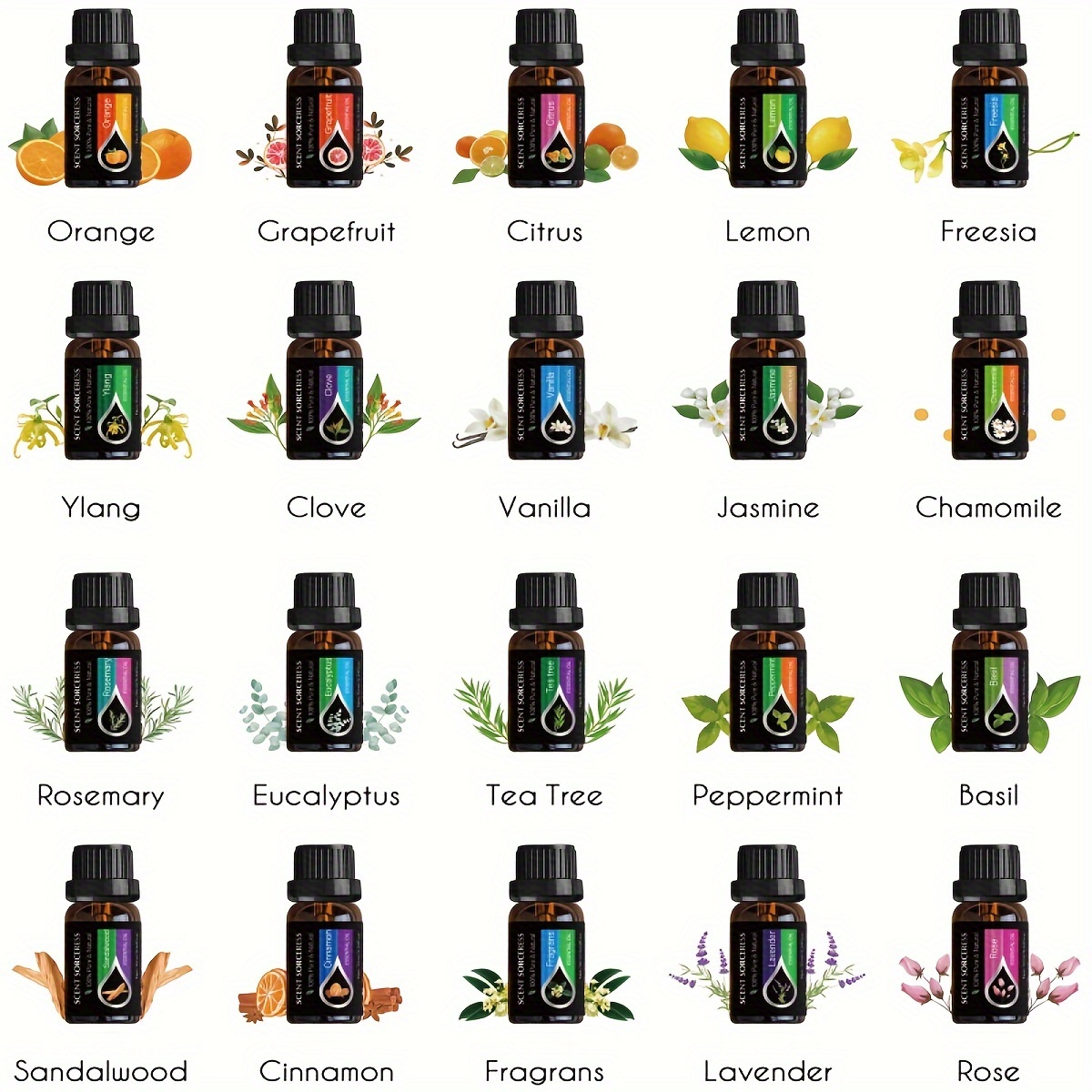 20pcs/set Essential Oil Set La - đánh giá và giá Spa Massager